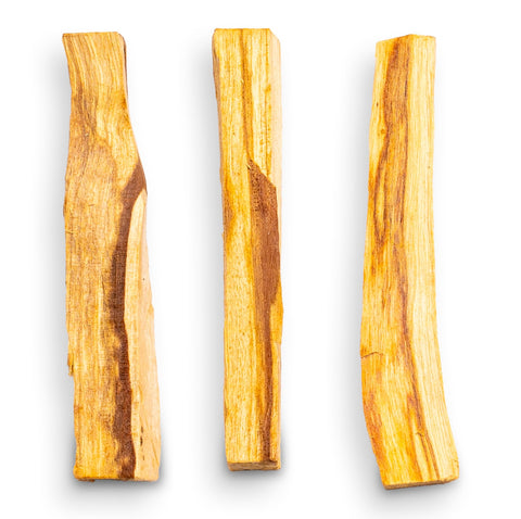 Palo Santo - Premium Sticks - Heiliges Holz - Bursera graveolens