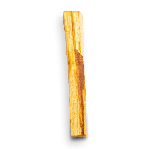 Palo Santo - Premium Sticks - Heiliges Holz - Bursera graveolens